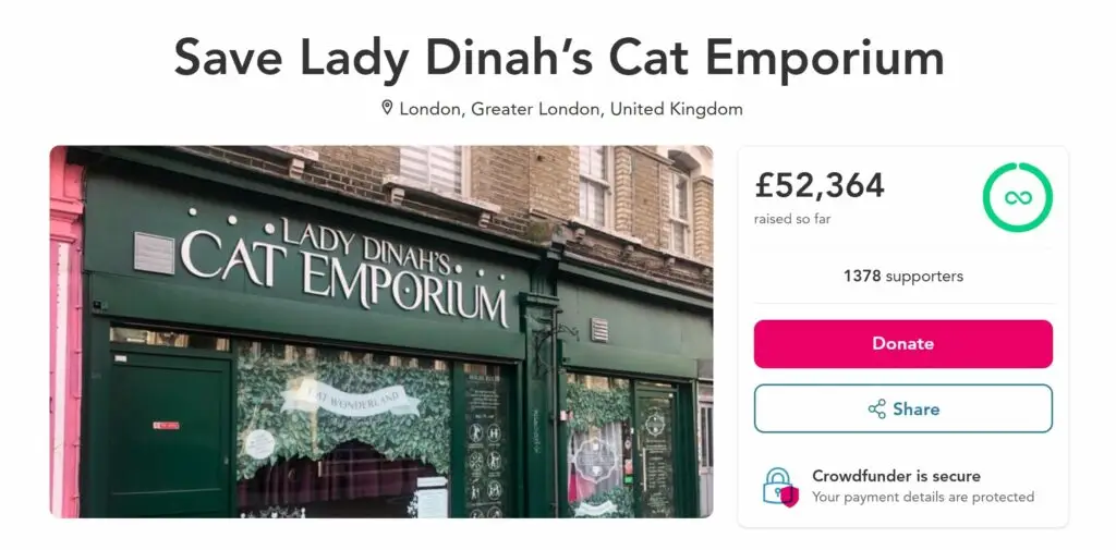 Lady Dinah’s Cat Emporium in London was saved from closure by an angel investor at the last minute, ensuring the beloved cat café will return stronger under new leadership.