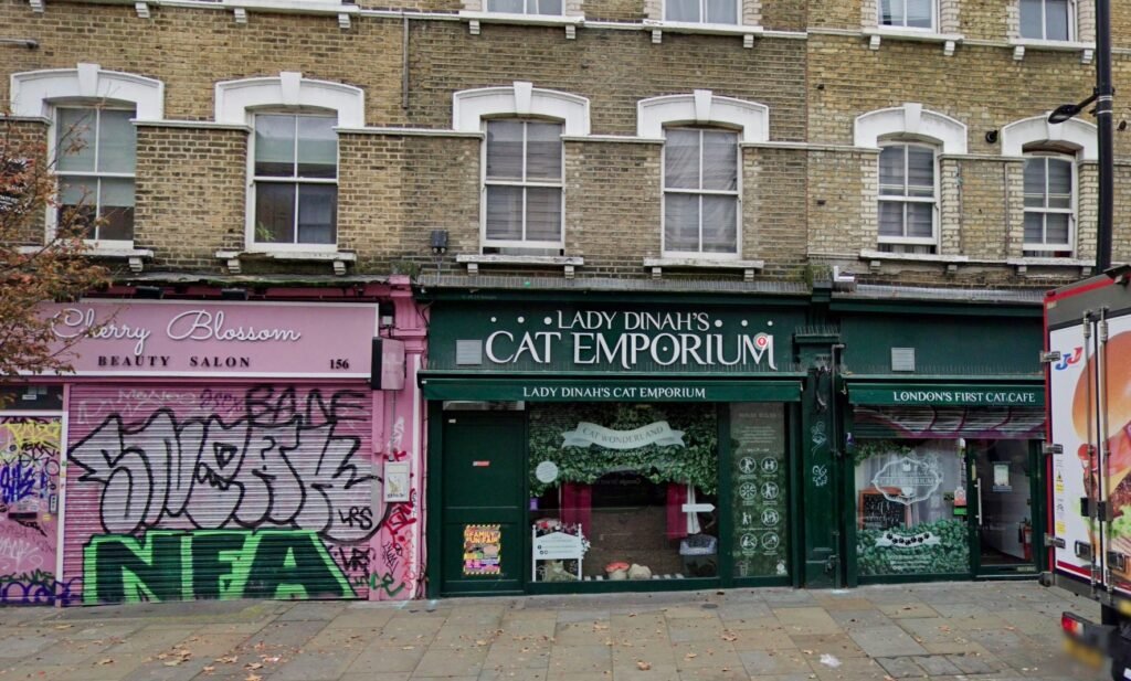 Lady Dinah’s Cat Emporium in London was saved from closure by an angel investor at the last minute, ensuring the beloved cat café will return stronger under new leadership.