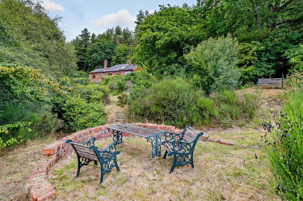 A £520k hidden woodland home in Shropshire offers total privacy, rare plants, historic mine features and nearly an acre of gardens with stunning countryside views.
