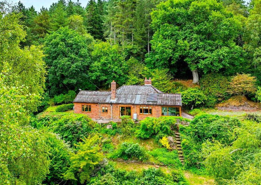 A £520k hidden woodland home in Shropshire offers total privacy, rare plants, historic mine features and nearly an acre of gardens with stunning countryside views.
