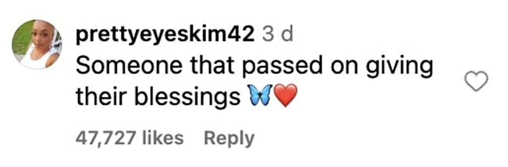 Social media comment on the post of A butterfly stole the show at a Ukrainian wedding, landing on the bride and groom mid vows in a magical moment that went viral with 12 million Instagram views.